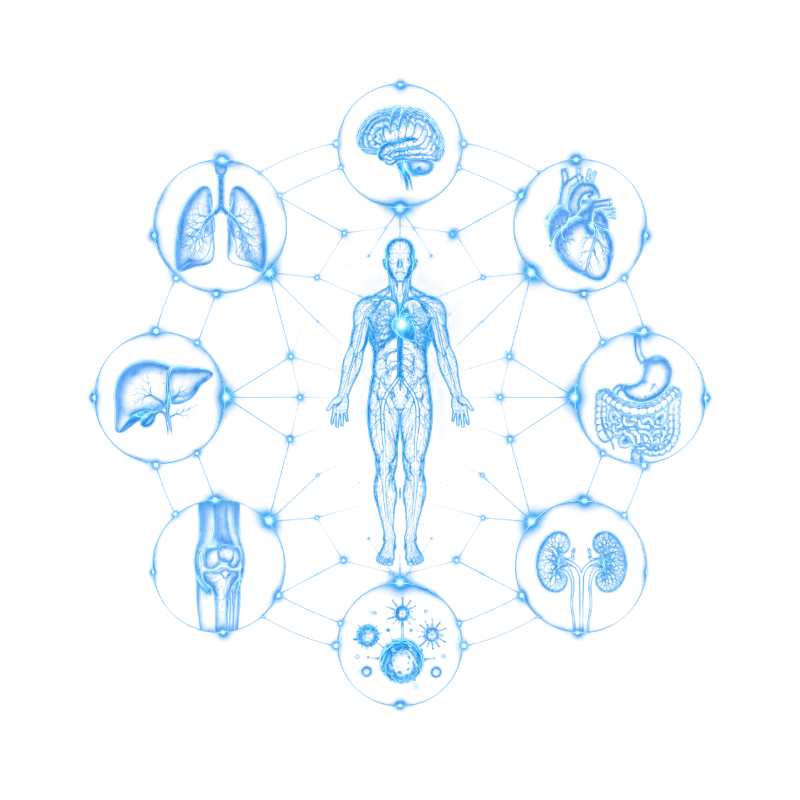 MetaBurn supplement supporting body systems for metabolic health