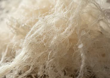 Natural ingredient: Konjac Fiber for metabolic support