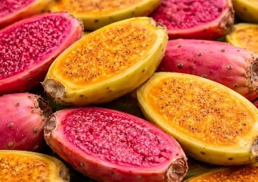 Natural ingredient: Prickly Pear for metabolic support
